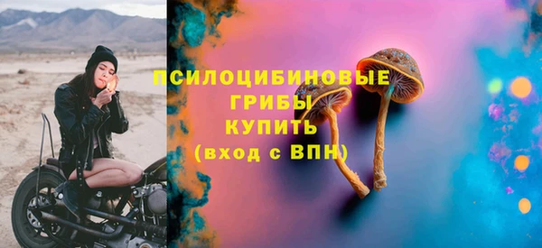 стафф Пестово