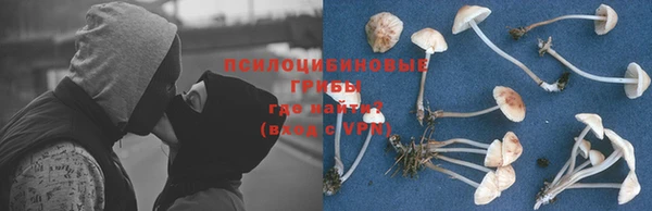 крисы Железноводск