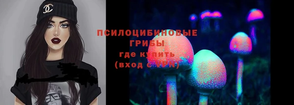 герыч Осинники
