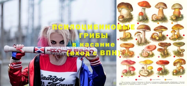 стафф Пестово
